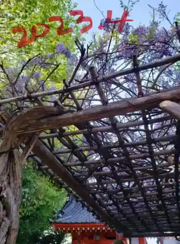 藤神稲荷神社(東京都)