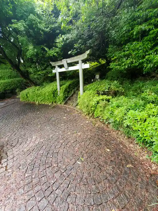 勝姫稲荷神社の鳥居