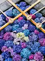 土津神社|こどもと出世の神さまの手水舎