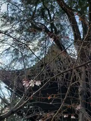 妙法寺(東京都)