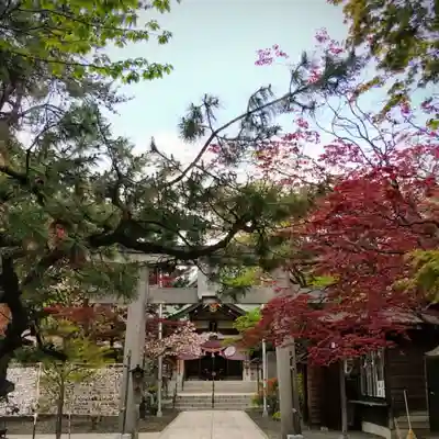 彌彦神社　(伊夜日子神社)の鳥居