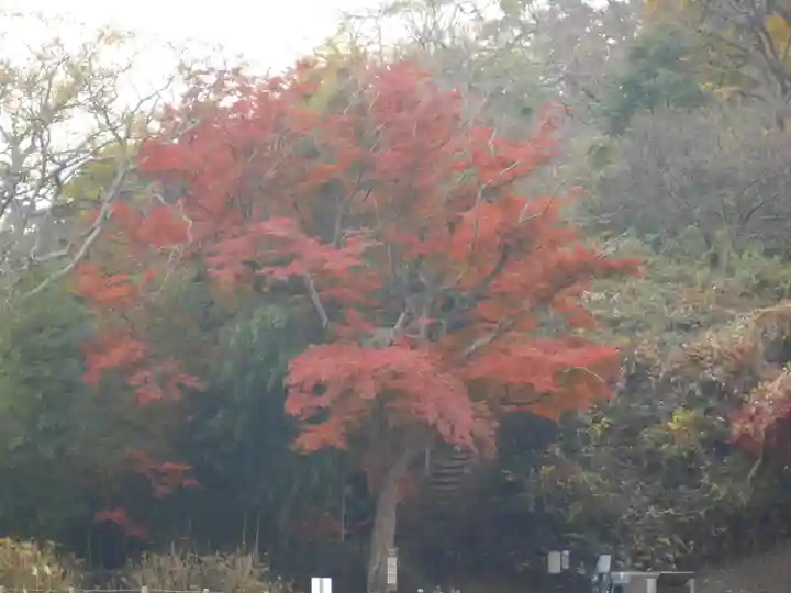 永福寺跡(永福寺址)の景色