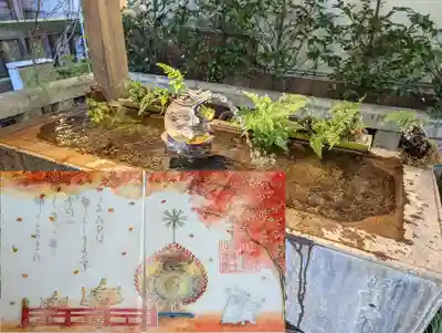 特別御朱印10月 『秋奉-紅葉-』
夏の終わりを台風と秋雨がさらっている間に山の紅葉も徐々に色づきはじめ、秋の風は山を錦のように染め上げています🍁
そんな秋のえも言われぬ美しい景色をいただいた、自然への返礼として雅楽を捧げる…というのが今月の『秋奉』特別御朱印〜錦秋〜のストーリー。
山の神様のために特別にあしらえた舞台で、雅楽を奉納する舞人たち。
秋の日差しをスポットライトのように浴び、演舞にも力が入ります😊
かたわらのウシは、落ち葉を拾い上げ秋の訪れを楽しんでいますね🍂
まだまだ続く山の神への宴は盛大に催され、来月の『銀杏』特別御朱印と見開き4面で繋がる仕様となります…
