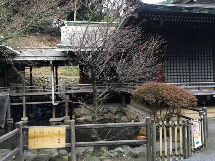 高見神社(福岡県)