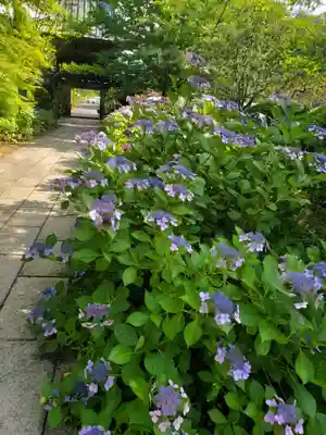 陽林寺(福島県)