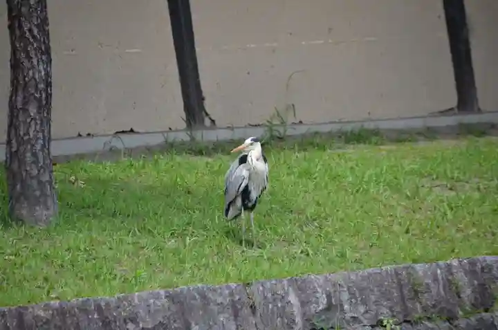 東寺(教王護国寺)(京都府)
