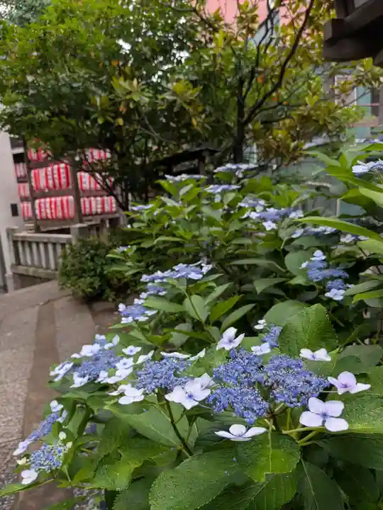 池尻稲荷神社(東京都)