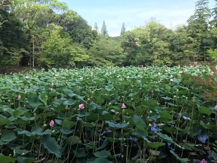宇佐神宮(大分県)