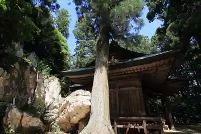 鹿島大神宮の本殿・本堂