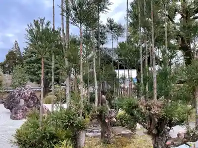 正法寺(京都府)