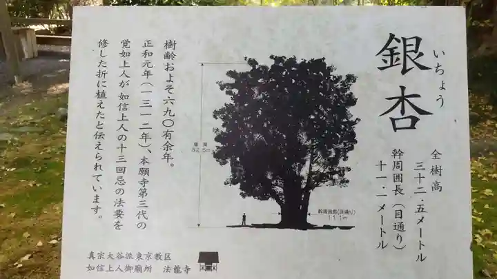 如信上人御廟所法龍寺の自然