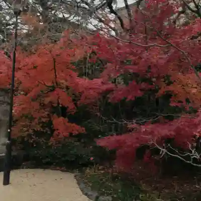 晴明神社の{uncategorized: "未分類", other: "その他", undefined: "問題あり", building: "その他建物", grave: "お墓", sacred_gate: "鳥居", guardian: "狛犬", statue: "像", buddha: "仏像", history: "歴史", nature: "自然", garden: "庭園", animal: "動物", pagoda: "塔", temizu: "手水舎", mountain_gate: "山門・神門", sanctuary: "本殿・本堂", subordinate: "末社・摂社", art: "芸術", scenery: "景色", jizo: "地蔵", ema: "絵馬", goshuin: "御朱印", omikuji: "おみくじ", items: "授与品その他", amulet: "お守り", goshuincho: "御朱印帳", eats: "食事", festival: "お祭り", votive_dance: "神楽", shichigosan: "七五三参", wedding: "結婚式", experience: "体験その他", initially: "初詣", around: "周辺", anti_infection: "感染症対策"}