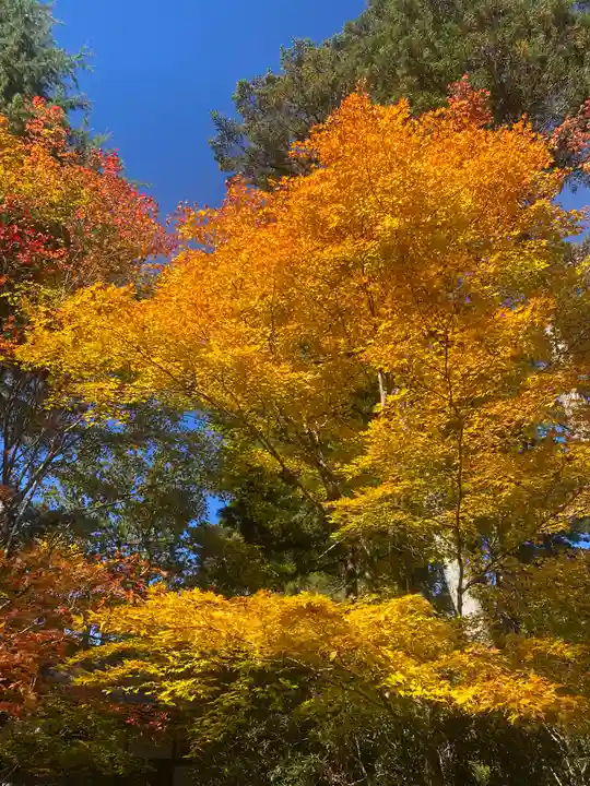 高野山霊寳館の自然