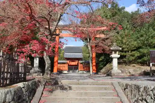 天龍寺の鳥居