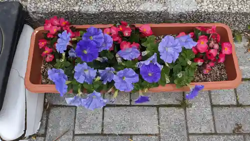 烈々布神社の庭園