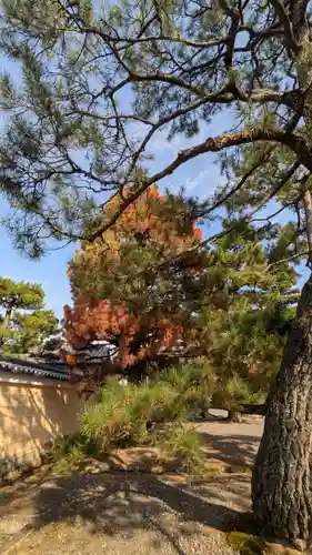 妙心寺（妙心禅寺）(京都府)