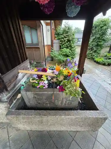 勝林寺(京都府)