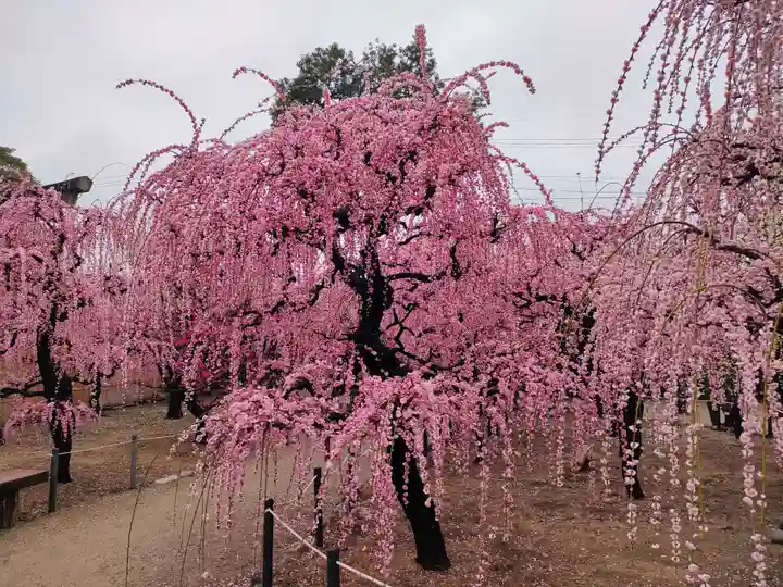 結城神社の庭園