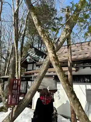 新屋山神社(山梨県)