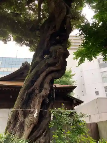大森山王日枝神社(東京都)