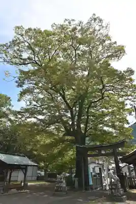 医家神社(徳島県)