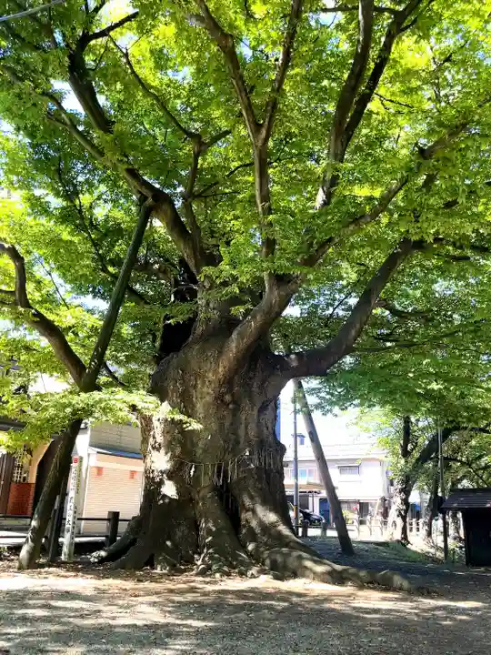 金峯神社(新潟県)