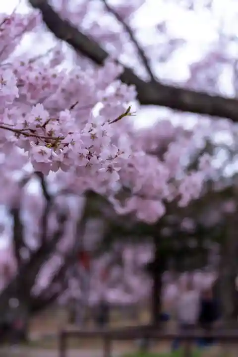 新城藤原神社(長野県)