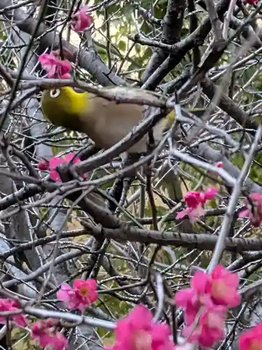 繁榮稲荷神社(東京都)