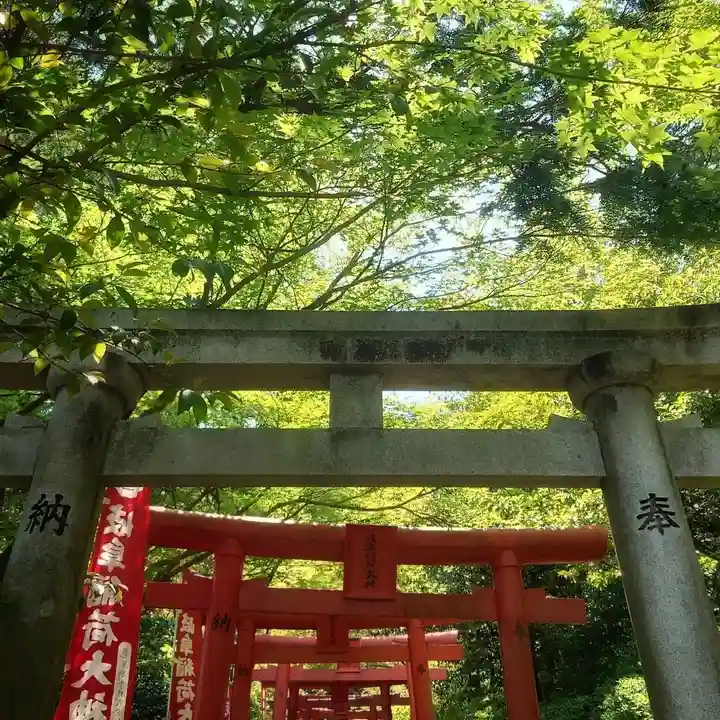 岐阜稲荷山本社の鳥居