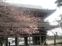 光明寺の山門・神門