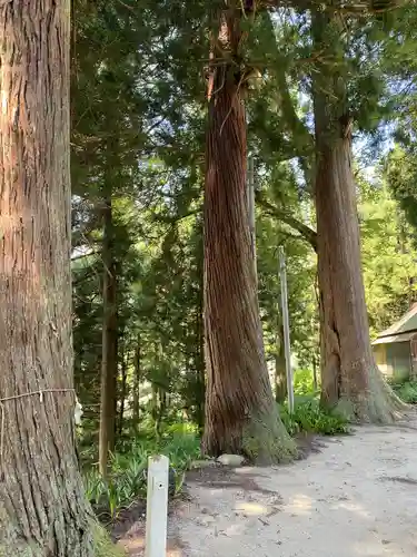 大前神社(新潟県)
