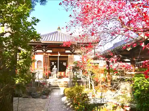 慈済院のその他建物