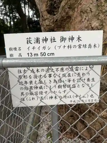 荻浦神社の{uncategorized: "未分類", other: "その他", undefined: "問題あり", building: "その他建物", grave: "お墓", sacred_gate: "鳥居", guardian: "狛犬", statue: "像", buddha: "仏像", history: "歴史", nature: "自然", garden: "庭園", animal: "動物", pagoda: "塔", temizu: "手水舎", mountain_gate: "山門・神門", sanctuary: "本殿・本堂", subordinate: "末社・摂社", art: "芸術", scenery: "景色", jizo: "地蔵", ema: "絵馬", goshuin: "御朱印", omikuji: "おみくじ", items: "授与品その他", amulet: "お守り", goshuincho: "御朱印帳", eats: "食事", festival: "お祭り", votive_dance: "神楽", shichigosan: "七五三参", wedding: "結婚式", experience: "体験その他", initially: "初詣", around: "周辺", anti_infection: "感染症対策"}