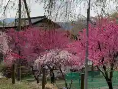 清雲寺の自然