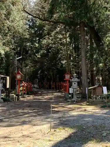 大神神社の景色