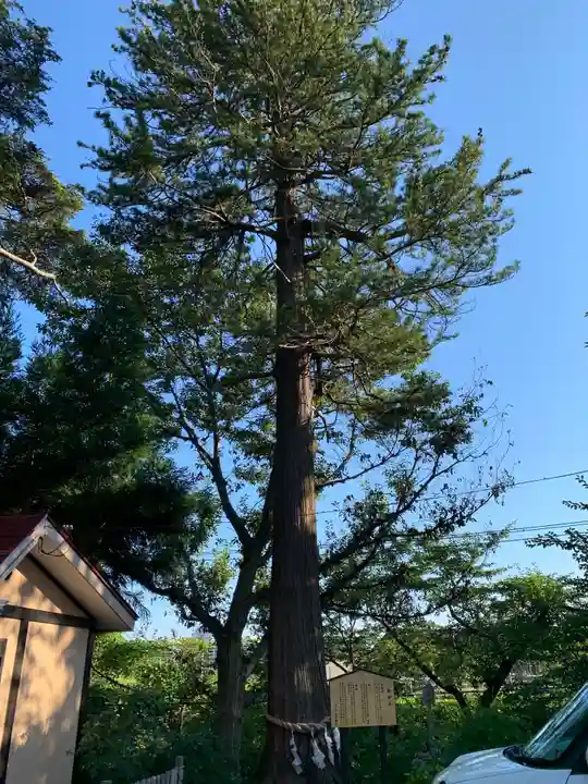花巻神社(岩手県)