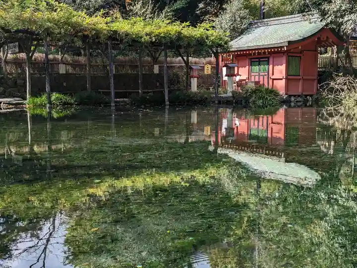 富士山本宮浅間大社(静岡県)