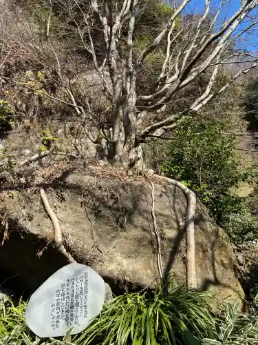 明月院の{uncategorized: "未分類", other: "その他", undefined: "問題あり", building: "その他建物", grave: "お墓", sacred_gate: "鳥居", guardian: "狛犬", statue: "像", buddha: "仏像", history: "歴史", nature: "自然", garden: "庭園", animal: "動物", pagoda: "塔", temizu: "手水舎", mountain_gate: "山門・神門", sanctuary: "本殿・本堂", subordinate: "末社・摂社", art: "芸術", scenery: "景色", jizo: "地蔵", ema: "絵馬", goshuin: "御朱印", omikuji: "おみくじ", items: "授与品その他", amulet: "お守り", goshuincho: "御朱印帳", eats: "食事", festival: "お祭り", votive_dance: "神楽", shichigosan: "七五三参", wedding: "結婚式", experience: "体験その他", initially: "初詣", around: "周辺", anti_infection: "感染症対策"}