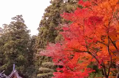 小國神社(静岡県)