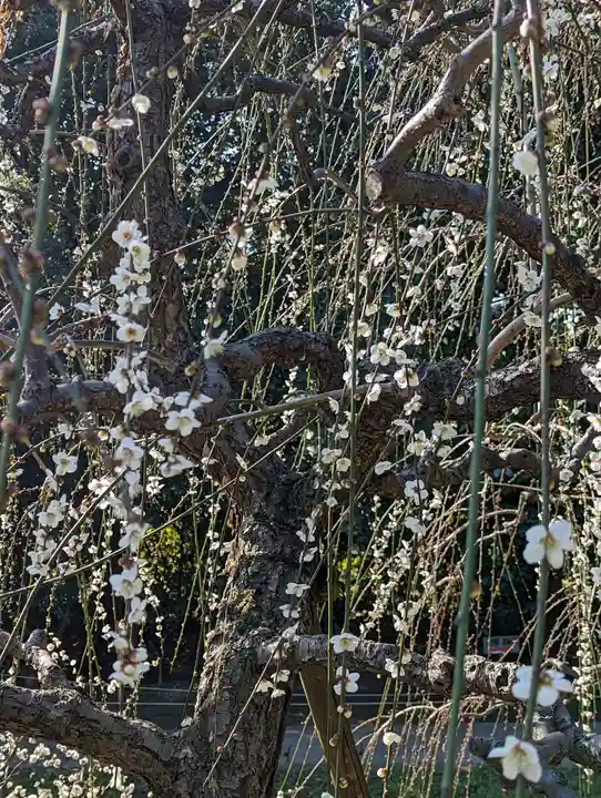 城南宮(京都府)