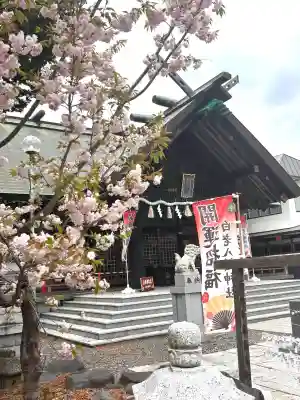 白老八幡神社の{uncategorized: "未分類", other: "その他", undefined: "問題あり", building: "その他建物", grave: "お墓", sacred_gate: "鳥居", guardian: "狛犬", statue: "像", buddha: "仏像", history: "歴史", nature: "自然", garden: "庭園", animal: "動物", pagoda: "塔", temizu: "手水舎", mountain_gate: "山門・神門", sanctuary: "本殿・本堂", subordinate: "末社・摂社", art: "芸術", scenery: "景色", jizo: "地蔵", ema: "絵馬", goshuin: "御朱印", omikuji: "おみくじ", items: "授与品その他", amulet: "お守り", goshuincho: "御朱印帳", eats: "食事", festival: "お祭り", votive_dance: "神楽", shichigosan: "七五三参", wedding: "結婚式", experience: "体験その他", initially: "初詣", around: "周辺", anti_infection: "感染症対策"}