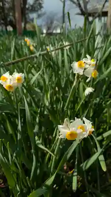 惠心院（恵心院）(京都府)