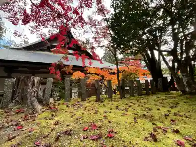 神峯山寺(大阪府)
