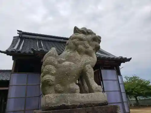 西荒川神社の狛犬