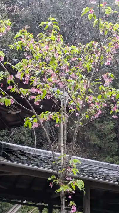 長尾天満宮(京都府)