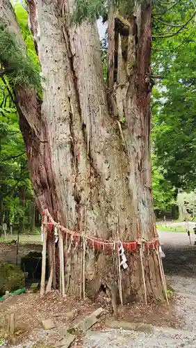 磐椅神社(福島県)