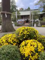 比々多神社の自然