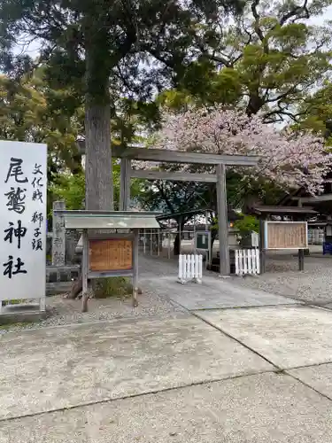 尾鷲神社(三重県)