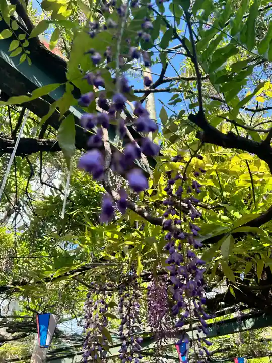 國領神社(東京都)