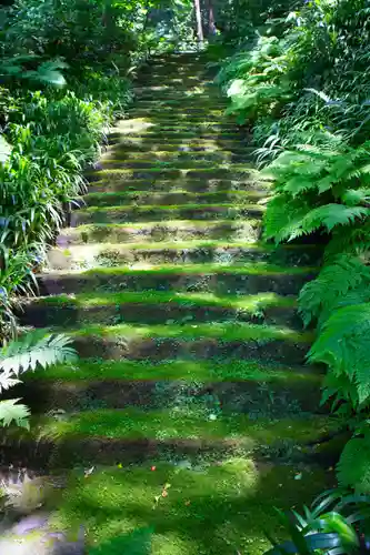 妙法寺の庭園